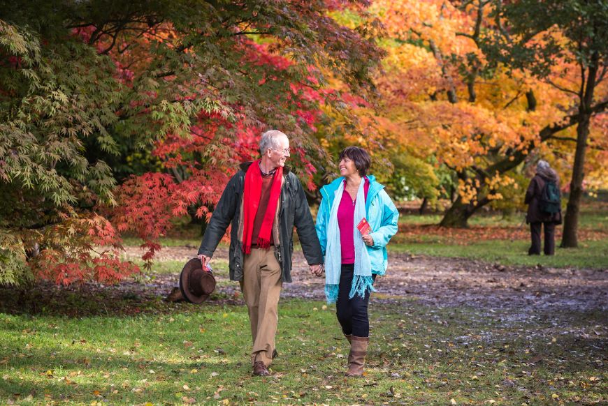 two people walking hand and hand through trees